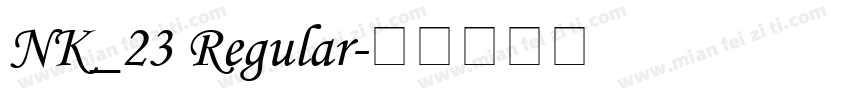 NK_23 Regular字体转换